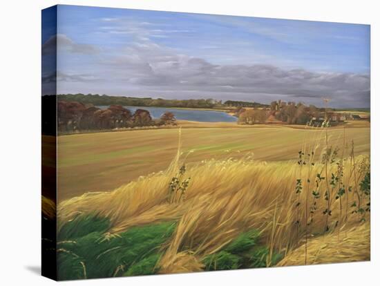 Kilconquhar Loch, 2007-Peter Breeden-Stretched Canvas