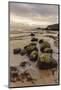 Kildonan shore, Isle of Arran, North Ayrshire, Scotland, United Kingdom, Europe-Gary Cook-Mounted Photographic Print