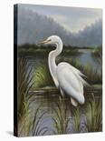 Tropical Egret II-Kilian-Framed Art Print