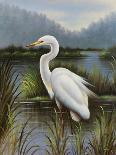 Evening Egret-Kilian-Stretched Canvas