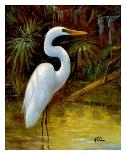 Tropical Egret II-Kilian-Framed Art Print