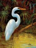 Tropical Egret I-Kilian-Framed Art Print