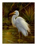 Tropical Egret I-Kilian-Framed Art Print