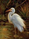 Evening Egret-Kilian-Stretched Canvas
