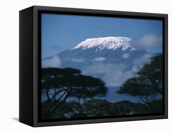 Kilimanjaro and Acacia Trees-null-Framed Stretched Canvas