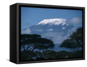 Kilimanjaro and Acacia Trees-null-Framed Stretched Canvas