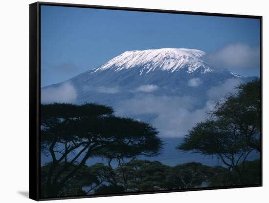 Kilimanjaro and Acacia Trees-null-Framed Stretched Canvas