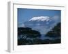 Kilimanjaro and Acacia Trees-null-Framed Premium Photographic Print