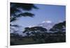 Kilimanjaro and Acacia Trees-DLILLC-Framed Premium Photographic Print