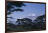 Kilimanjaro and Acacia Trees-DLILLC-Framed Premium Photographic Print