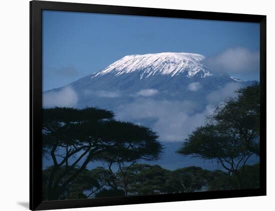 Kilimanjaro and Acacia Trees-null-Framed Photographic Print