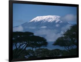 Kilimanjaro and Acacia Trees-null-Framed Photographic Print