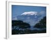 Kilimanjaro and Acacia Trees-null-Framed Photographic Print