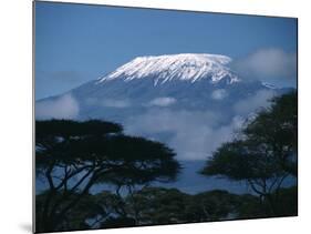 Kilimanjaro and Acacia Trees-null-Mounted Photographic Print