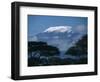 Kilimanjaro and Acacia Trees-null-Framed Photographic Print