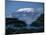 Kilimanjaro and Acacia Trees-null-Mounted Photographic Print