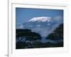 Kilimanjaro and Acacia Trees-null-Framed Photographic Print