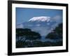 Kilimanjaro and Acacia Trees-null-Framed Photographic Print
