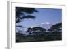 Kilimanjaro and Acacia Trees-DLILLC-Framed Photographic Print