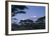 Kilimanjaro and Acacia Trees-DLILLC-Framed Photographic Print