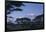 Kilimanjaro and Acacia Trees-DLILLC-Framed Photographic Print