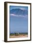 Kilimanjaro and the Quiet Sentinels-Jeffrey C. Sink-Framed Photographic Print