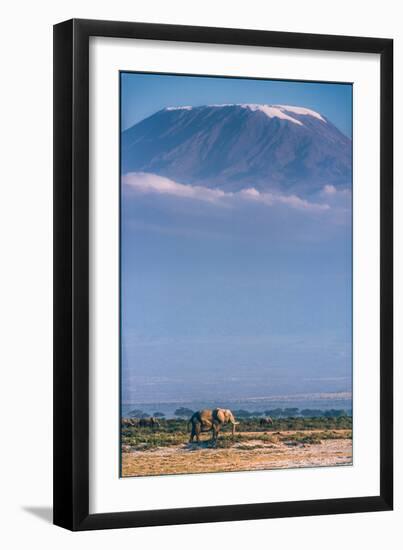 Kilimanjaro and the Quiet Sentinels-Jeffrey C. Sink-Framed Photographic Print