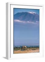 Kilimanjaro and the Quiet Sentinels-Jeffrey C. Sink-Framed Photographic Print