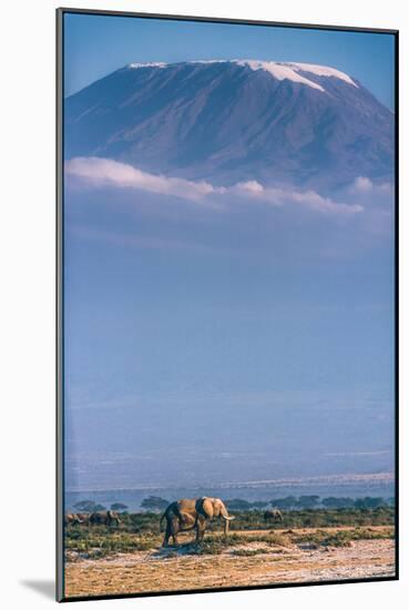 Kilimanjaro and the Quiet Sentinels-Jeffrey C. Sink-Mounted Photographic Print