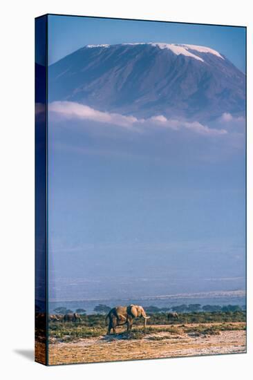 Kilimanjaro and the Quiet Sentinels-Jeffrey C. Sink-Stretched Canvas