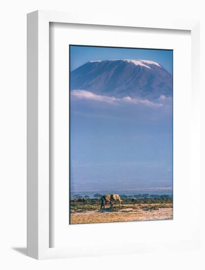 Kilimanjaro and the Quiet Sentinels-Jeffrey C. Sink-Framed Photographic Print