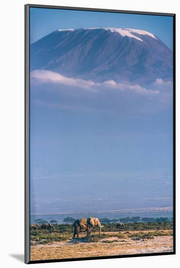 Kilimanjaro and the Quiet Sentinels-Jeffrey C. Sink-Mounted Photographic Print