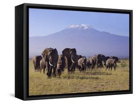 Kilimanjaro Elephants-Charles Bowman-Framed Stretched Canvas