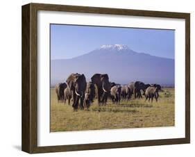 Kilimanjaro Elephants-Charles Bowman-Framed Photographic Print