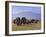 Kilimanjaro Elephants-Charles Bowman-Framed Photographic Print