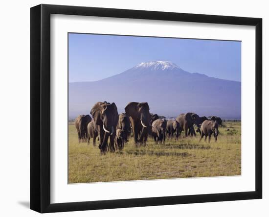 Kilimanjaro Elephants-Charles Bowman-Framed Photographic Print