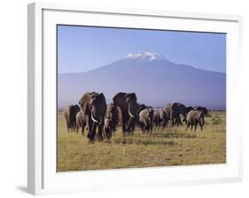 Kilimanjaro Elephants-Charles Bowman-Framed Photographic Print