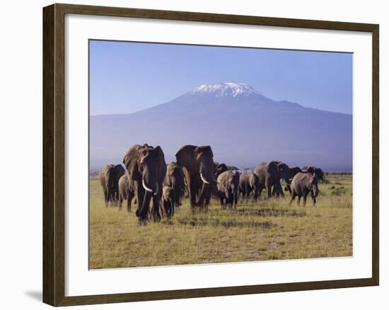 Kilimanjaro Elephants-Charles Bowman-Framed Photographic Print