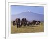 Kilimanjaro Elephants-Charles Bowman-Framed Photographic Print