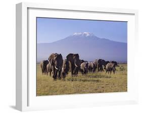 Kilimanjaro Elephants-Charles Bowman-Framed Photographic Print