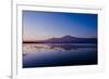 Kilimanjaro II-Charles Bowman-Framed Photographic Print