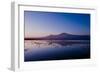 Kilimanjaro II-Charles Bowman-Framed Photographic Print