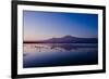 Kilimanjaro II-Charles Bowman-Framed Photographic Print