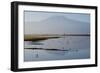 Kilimanjaro III-Charles Bowman-Framed Photographic Print