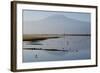 Kilimanjaro III-Charles Bowman-Framed Photographic Print