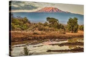 Kilimanjaro in morning, Amboseli National Park, Africa-John Wilson-Stretched Canvas