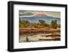 Kilimanjaro in morning, Amboseli National Park, Africa-John Wilson-Framed Photographic Print