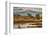 Kilimanjaro in morning, Amboseli National Park, Africa-John Wilson-Framed Photographic Print