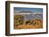 Kilimanjaro in morning with Elephant, Amboseli National Park, Africa-John Wilson-Framed Photographic Print