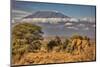 Kilimanjaro in morning with Elephant, Amboseli National Park, Africa-John Wilson-Mounted Photographic Print